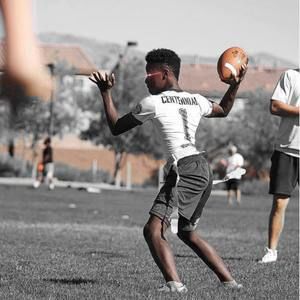 Meet your Posher, Teddy